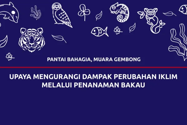 upaya-mengurangi-dampak-perubahan-iklim-melalui-penanaman-bakau